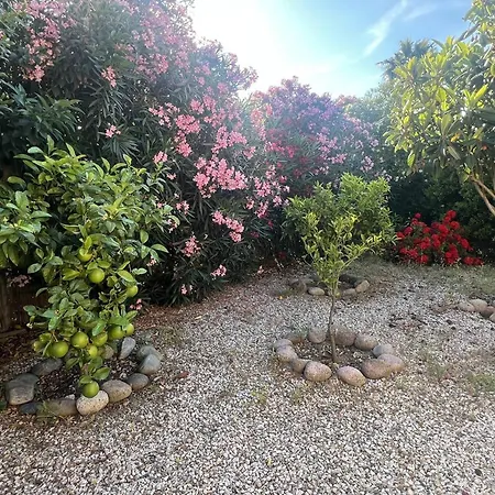 Prázdninový dům Maison A 2 Km D'ile-rousse, 6 Pers., 3 Ch., Jardin Et Terrasses, Securisee - Fr-1-719-47 *