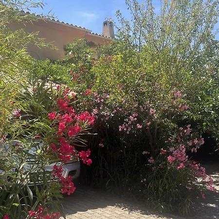 Дом отдыха Maison A 2 Km D'ile-rousse, 6 Pers., 3 Ch., Jardin Et Terrasses, Securisee - Fr-1-719-47